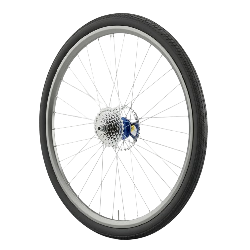 Bicycle Rear Wheel